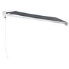 vidaXL Markise Einziehbar Anthrazit 3x2,5 m Stoff und Aluminium