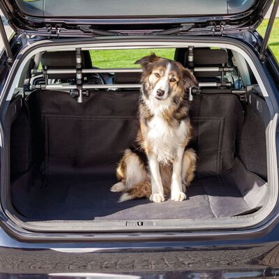 TRIXIE Kofferraumschutzdecke für Hunde 120x150 cm Schwarz