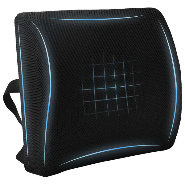 vidaXL R&uuml;ckenkissen Schwarz Viscoschaum 35,5 x 30 x 12 cm