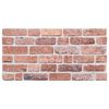 vidaXL 3D-Wandpaneele 10 Stk. Rot 100x50 cm EPS