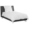 vidaXL Winterbettdecke mit Kissen 2 pcs Wei&szlig; Daunenfeder