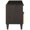vidaXL TV-Schr&auml;nk Schwarz und Gold 100 x 33 x 46 cm Holzwerkstoff
