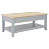 vidaXL Couchtisch Grau 100x55x40 cm Holz