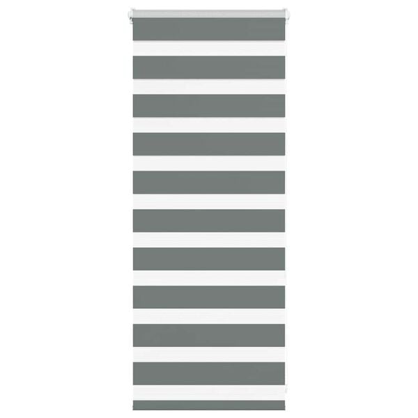 vidaXL Doppelrollo Dunkelgrau 65x100 cm Stoffbreite 60,9 cm Polyester