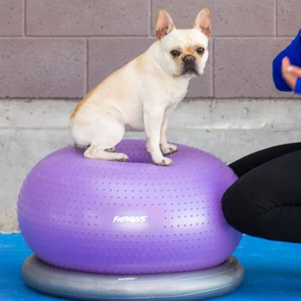 FitPAWS Fitnessball f&uuml;r Hunde TRAX Donut 55 cm Lila
