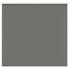 vidaXL Verdunkelungsrollo Grau 160x130cm Stoffbreite 156,6cm Polyester