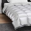 vidaXL Winterbettdecke Silber 220 x 240 cm Satin und Mikrofaser