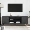 vidaXL TV-Schr&auml;nke 2 Stk. Schwarz 68x39x50,5 cm Stahl