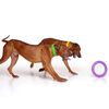 Ferplast Hunde-Spielring Puller Standard Lila 2 Stk.