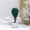 vidaXL Winterschutz fur Pflanzen Gr&uuml;n 20 x 1,6 m Vliesstoff