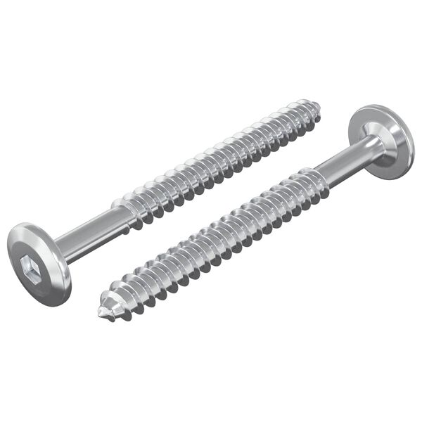 vidaXL Holzschrauben 2 pcs Silber M6 x 70 mm Stahl