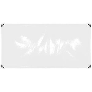 vidaXL Transparente Plane mit &Ouml;sen 1x2 m PVC
