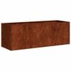 vidaXL Pflanzk&uuml;bel Rostig 120x40x40 cm Wetterfester Stahl