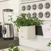 LECHUZA Pflanzgef&auml;&szlig;e 3 Stk. Green Wall Home Kit Wei&szlig;