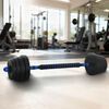 vidaXL 2-in-1 Kurzhantel Langhantel Set 30kg Schwarz und Blau