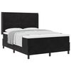 vidaXL Boxspringbett mit Matratze Schwarz 140 x 200 cm Samt
