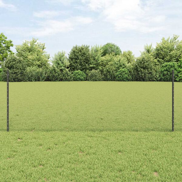 vidaXL Zaun mit Pfosten Grau 0,8 x 25 m Stahl