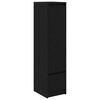 Black_oak