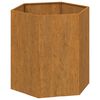 vidaXL Pflanzk&uuml;bel Rostig 40x40x45 cm Cortenstahl