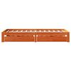 vidaXL Massivholzbett mit Schubladen Wachsbraun 75x190 cm Kiefer