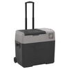 vidaXL K&uuml;hlbox mit Rollen und Griff Schwarz & Grau 30 L Polypropylen
