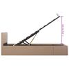 vidaXL Stauraumbett Hydraulisch Cappuccino-Braun Kunstleder 100&times;200 cm