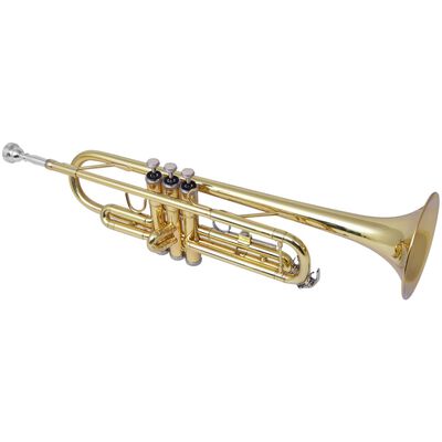 vidaXL Trompete Gelb Messing mit Goldlack Bb