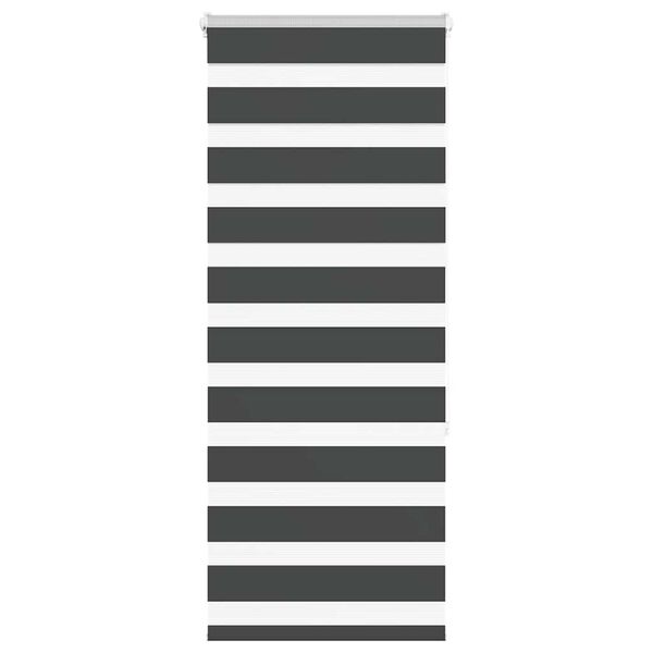 vidaXL Doppelrollo Schwarz 65x150 cm Stoffbreite 60,9 cm Polyester