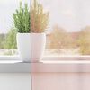 vidaXL Voile Vorh&auml;nge mit Schlaufen 2 Stk. Hellrosa 140x245 cm