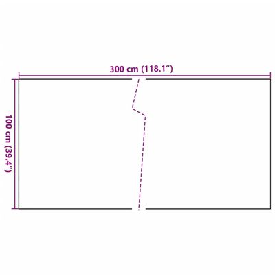 vidaXL Balkon-Sichtschutz Anthrazit 300x100 cm Poly Rattan