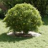 Produkt-Miniaturbild 3 von 9