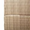 vidaXL Raumteiler Beige 146 x 200 cm Poly-Rattan