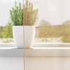 vidaXL Voile Vorh&auml;nge mit Stangentaschen 2 Stk. Sandfarbe