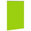 vidaXL Verdunkelungsrollo Gr&uuml;n 110x130cm Stoffbreite 105,7cm Polyester