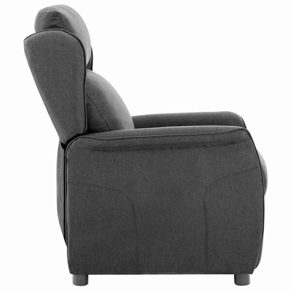 vidaXL Liegestuhl Dunkelgrau 66,5 x 94 x 101,5 cm Polyester