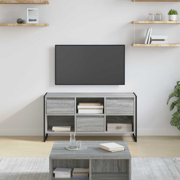 vidaXL TV-Schr&auml;nk Graues Sonoma 100 x 36 x 49,5 cm Holzwerkstoff