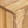 vidaXL Sideboard mit Speicher Braun 40 x 33,5 x 75 cm Massivholz Mango