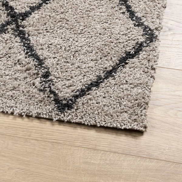 vidaXL Shaggy-Teppich PAMPLONA Hochflor Beige & Anthrazit 80x200 cm