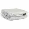 vidaXL Transparente Plane mit &Ouml;sen 5x6 m PVC