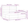 vidaXL Boxspringbett mit Matratze Schwarz 200 x 200 cm Samt