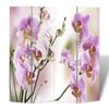 vidaXL Raumteiler klappbar 160 x 170 cm Blume