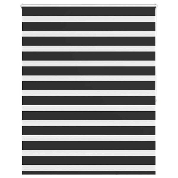 vidaXL Doppelrollo Seitenzug 120 x 175 cm schwarz