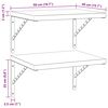 vidaXL Wandregale 2 Stk. 50x40 cm Silbern Edelstahl