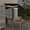 vidaXL Markise Manuell Einziehbar mit Rollo & LED 3x2,5 m Anthrazit