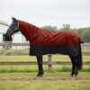 vidaXL Pferdedecke Dunkelgr&uuml;n und Schwarz 125 cm Polyester