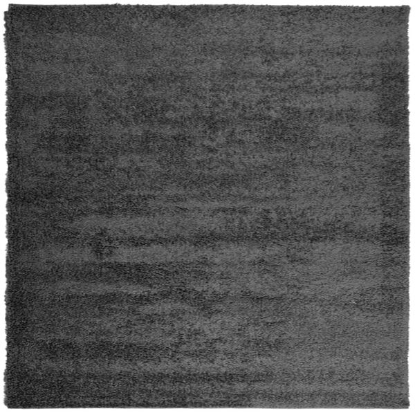 vidaXL Teppich Shaggy Hochflor Modern Anthrazit 240x240 cm