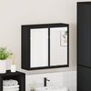 vidaXL Spiegelschrank Schwarz 65x20x60 cm Holzwerkstoff