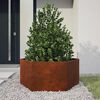 vidaXL Pflanzk&uuml;bel mit Beinen Rostig 30x30x30 cm Cortenstahl