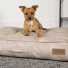 Scruffs & Tramps Hundematratze Kensington Gr&ouml;&szlig;e M 80x60 cm Creme