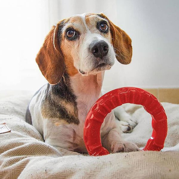 Ferplast Kauspielzeug f&uuml;r Hunde Smile Gro&szlig; 20x18x4 cm Rot